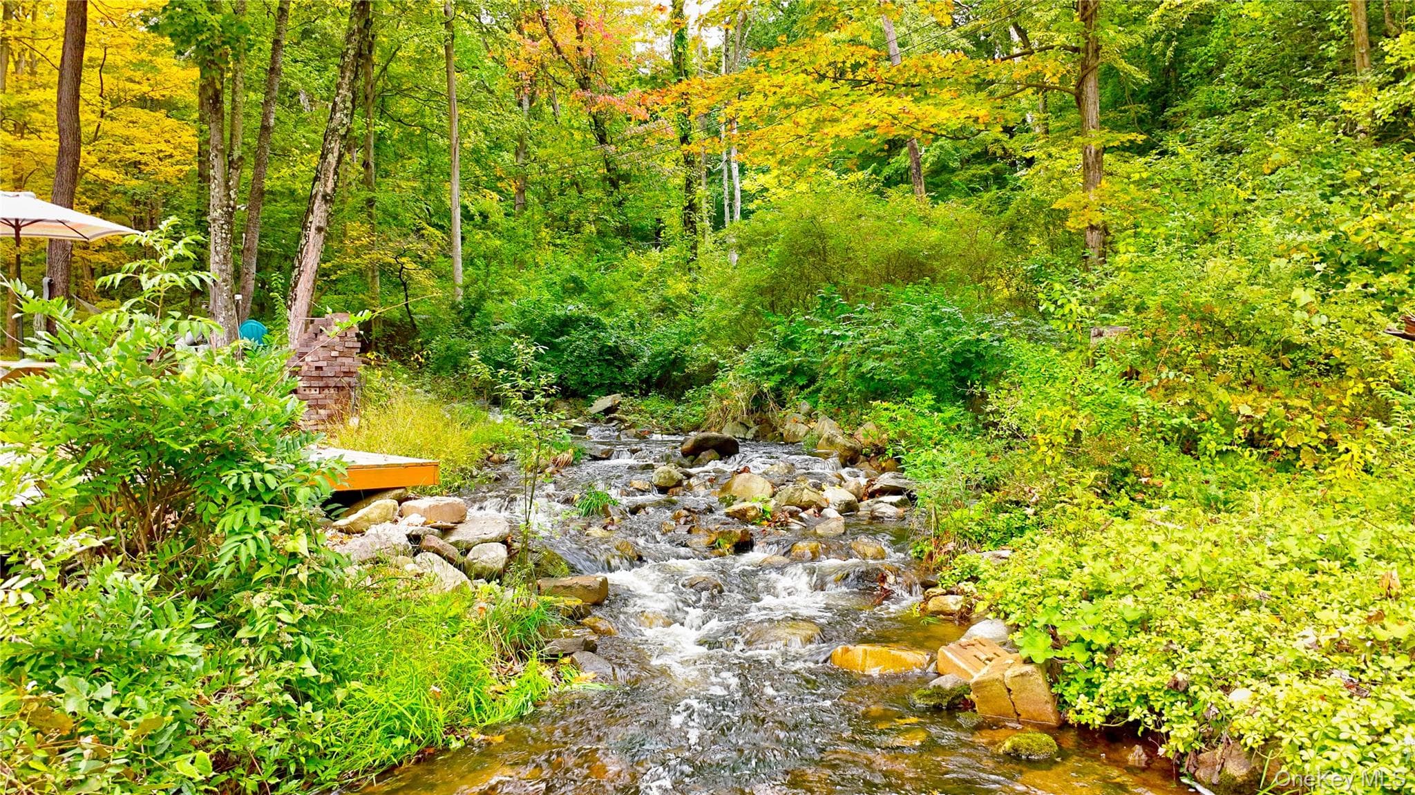 202 Canopus Hollow Road thumbnail 25