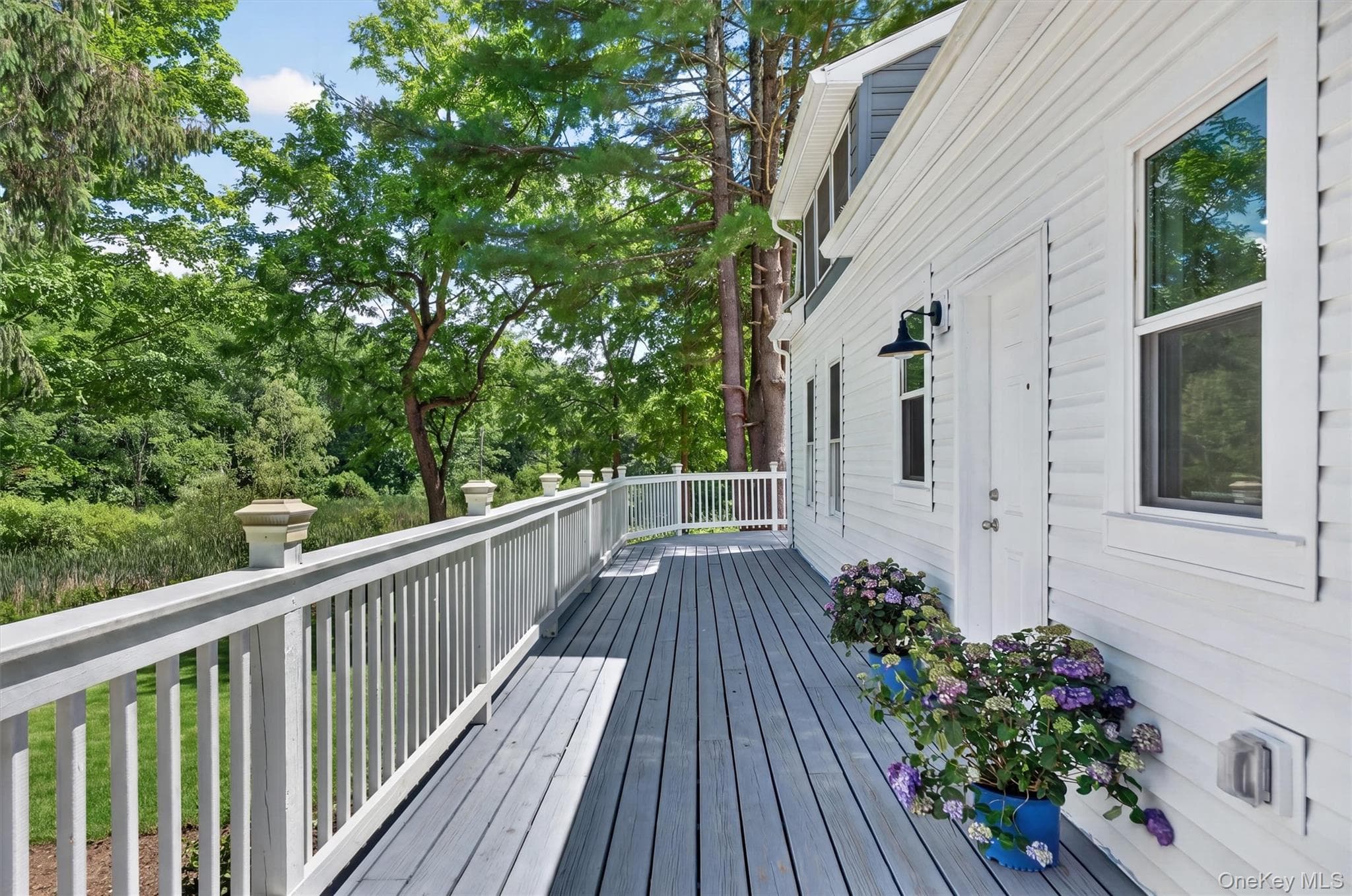 262 Linden Avenue thumbnail 29