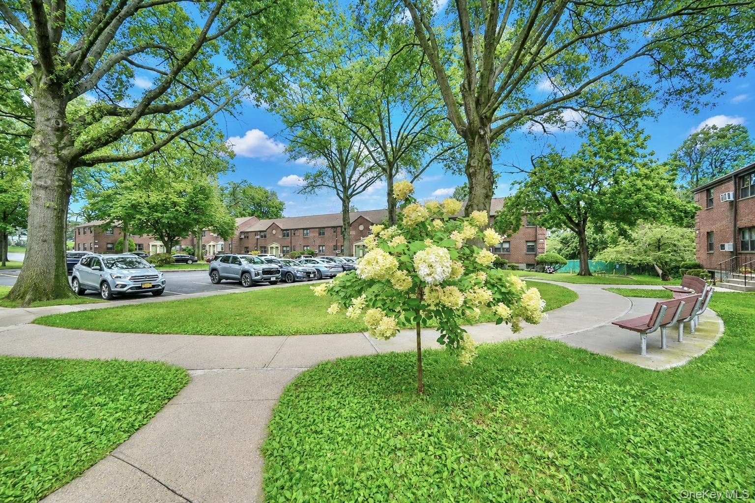 245-12 62 Avenue Unit: 2nd Floor thumbnail 18