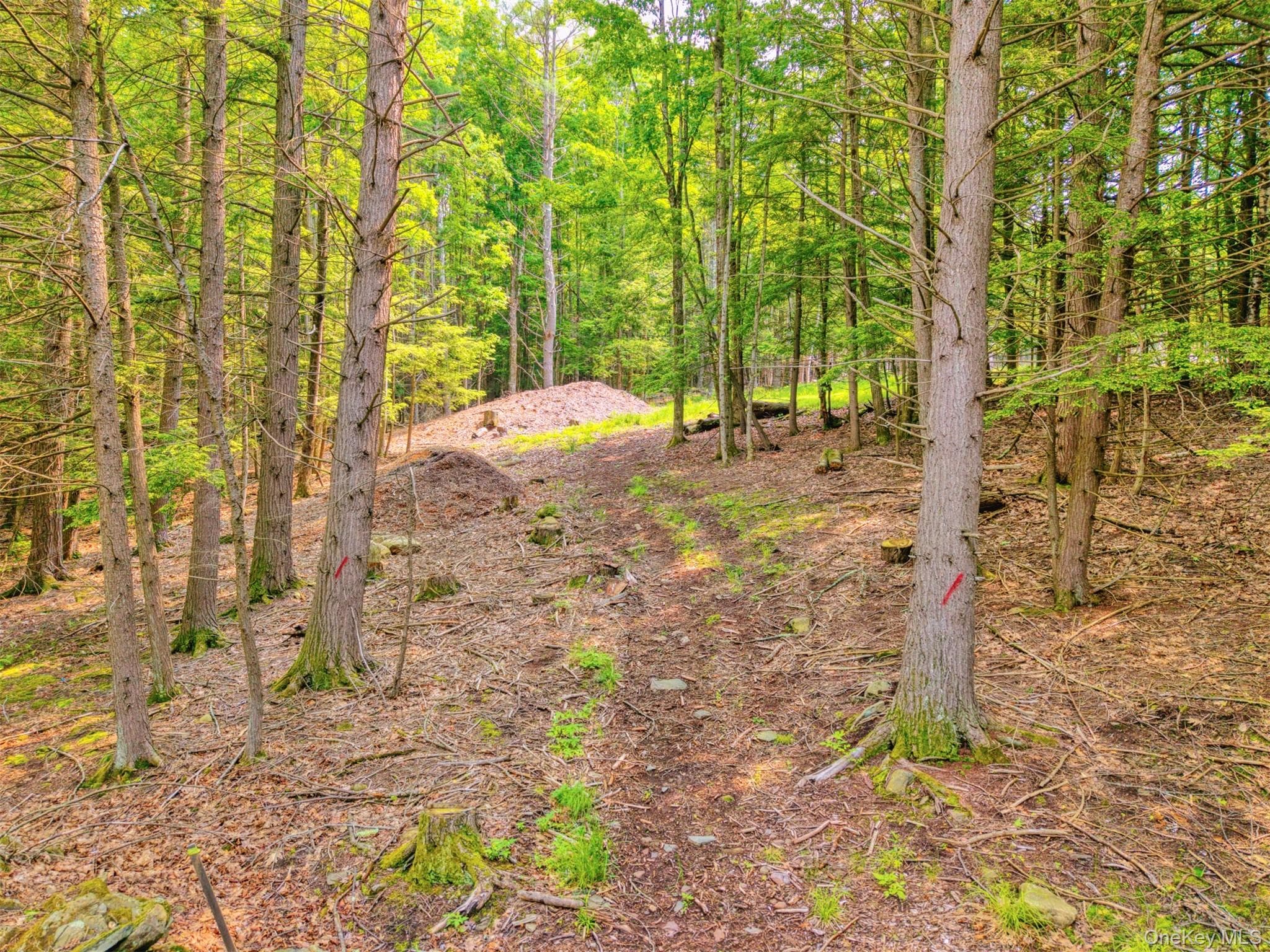 TBD Boulder Brook Lots 33-38 Road thumbnail 13