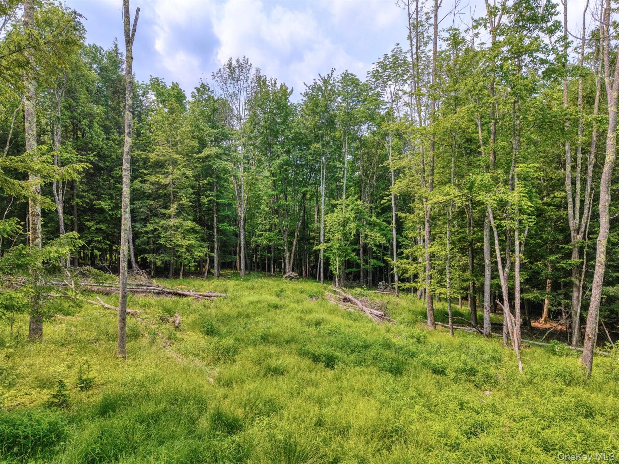 TBD Boulder Brook Lots 33-38 Road thumbnail 27