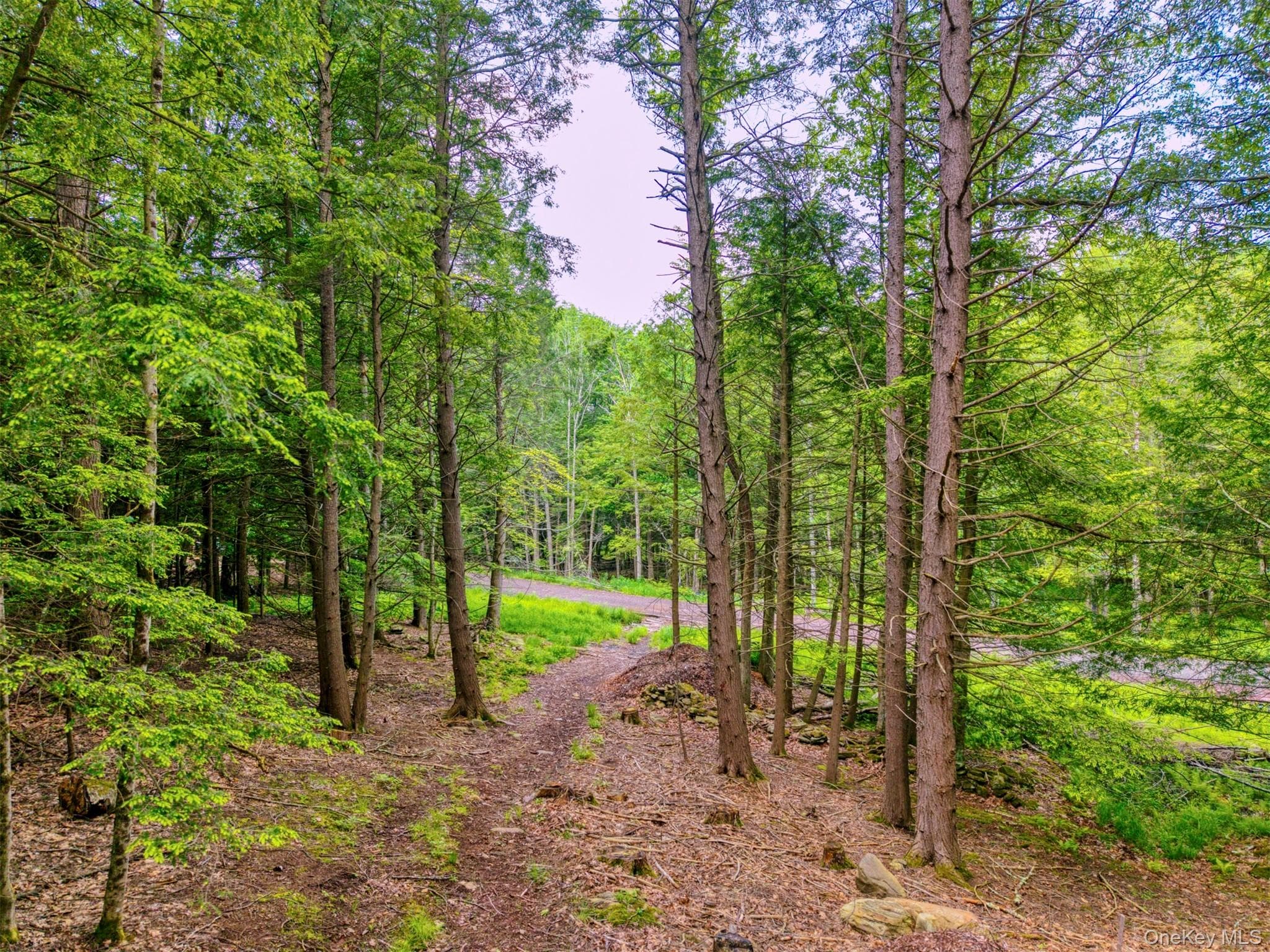 TBD Boulder Brook Lots 33-38 Road thumbnail 17