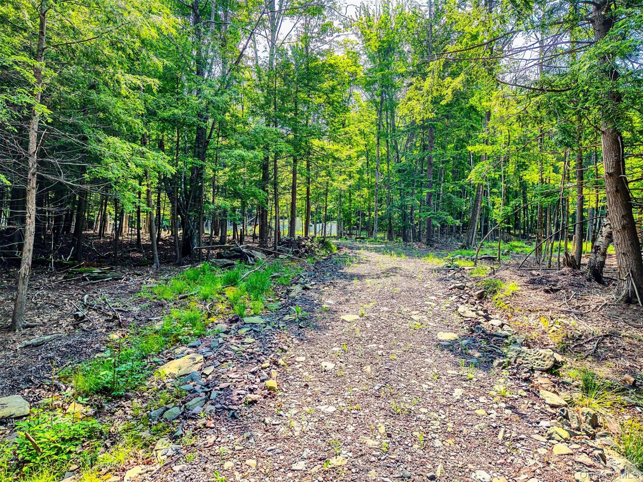 TBD Boulder Brook Lots 33-38 Road thumbnail 5