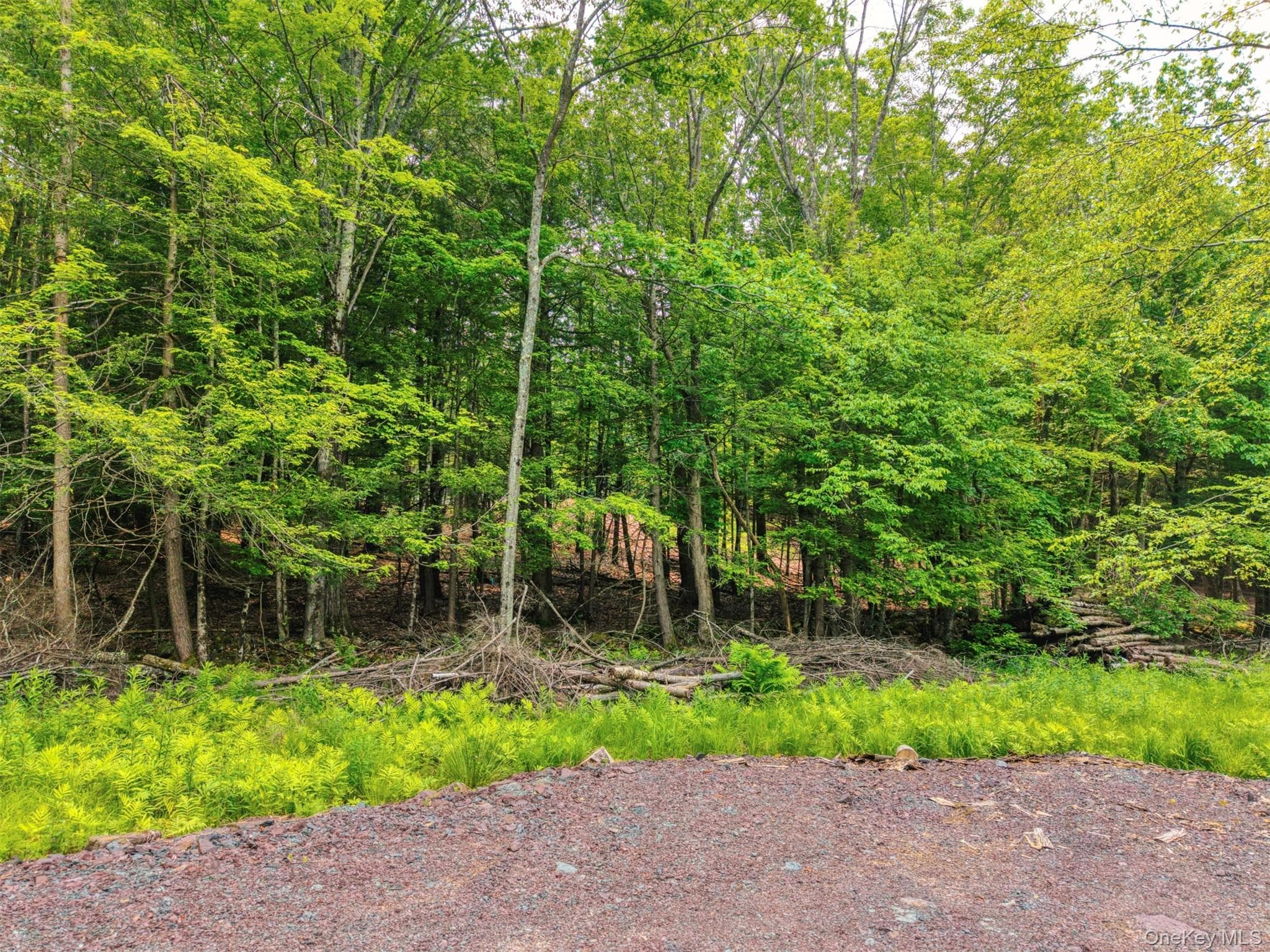 TBD Boulder Brook Lots 33-38 Road thumbnail 19