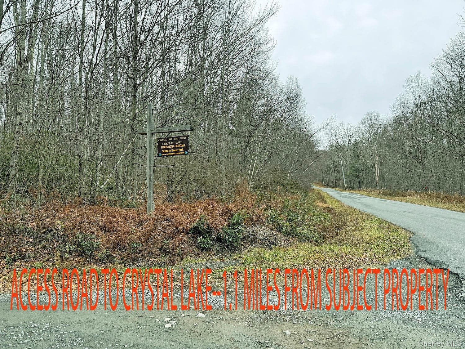 292 County Road 93 thumbnail 43