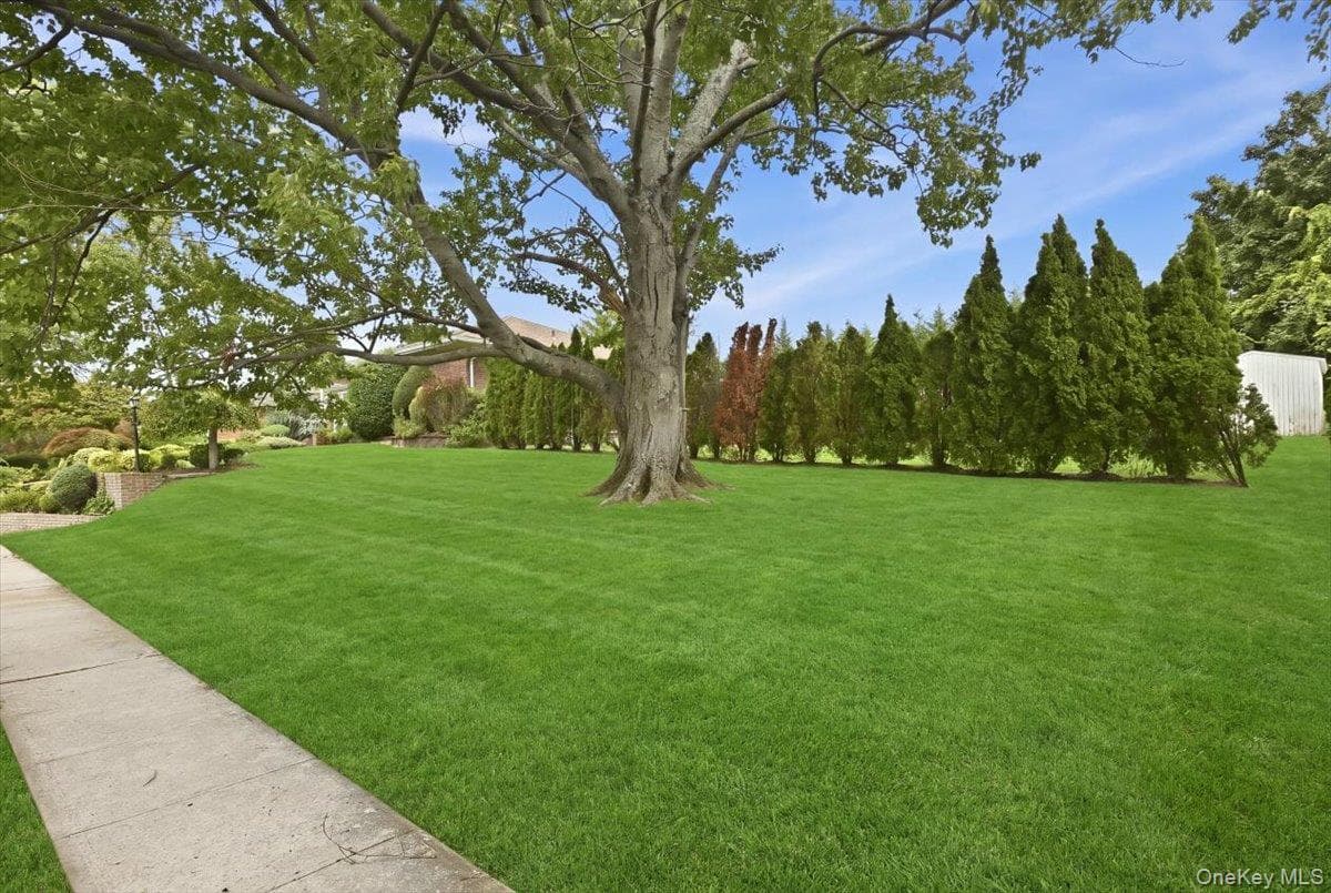 47 Royal Way thumbnail 41