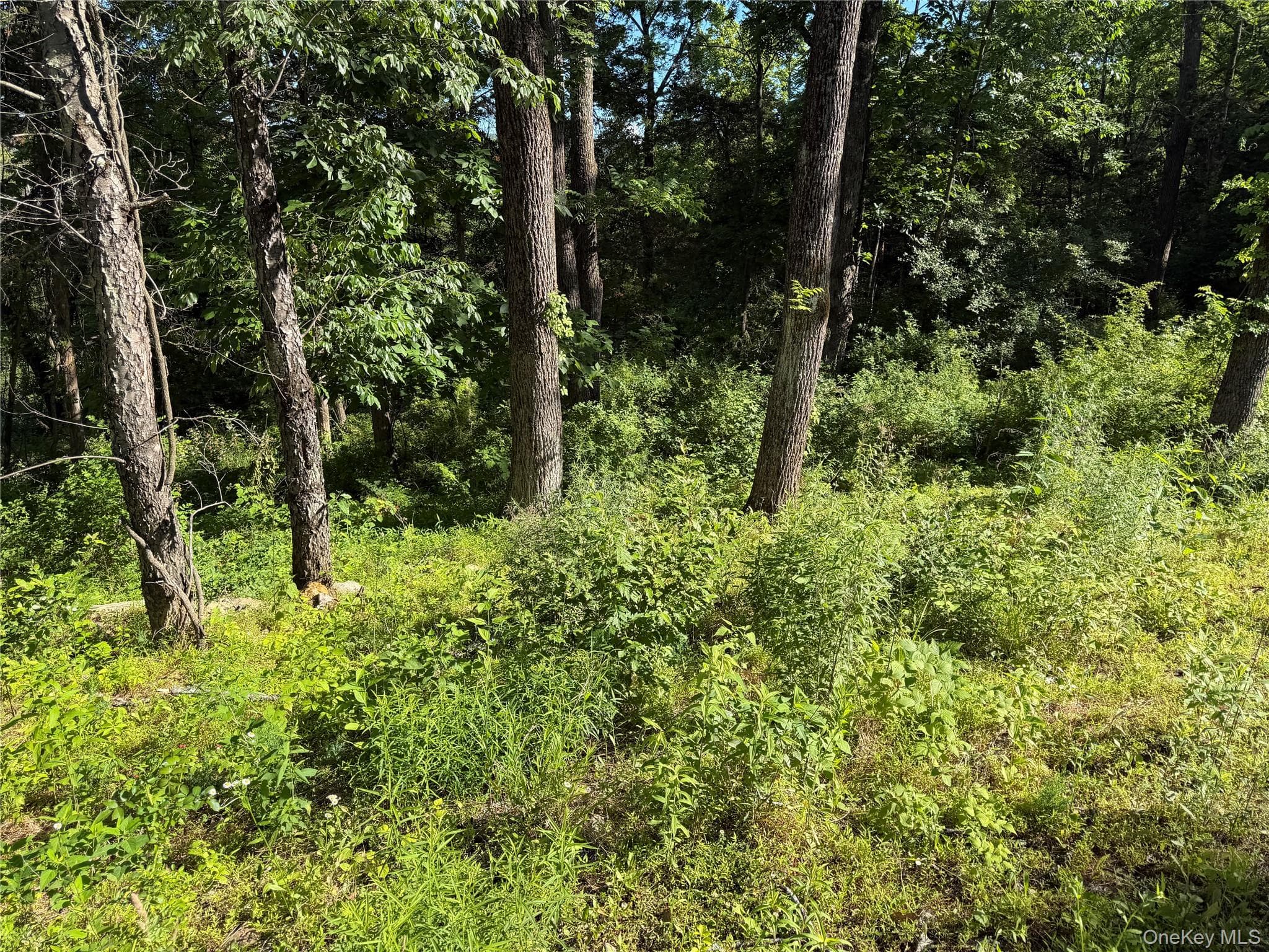 5 Walnut Hill Road thumbnail 10