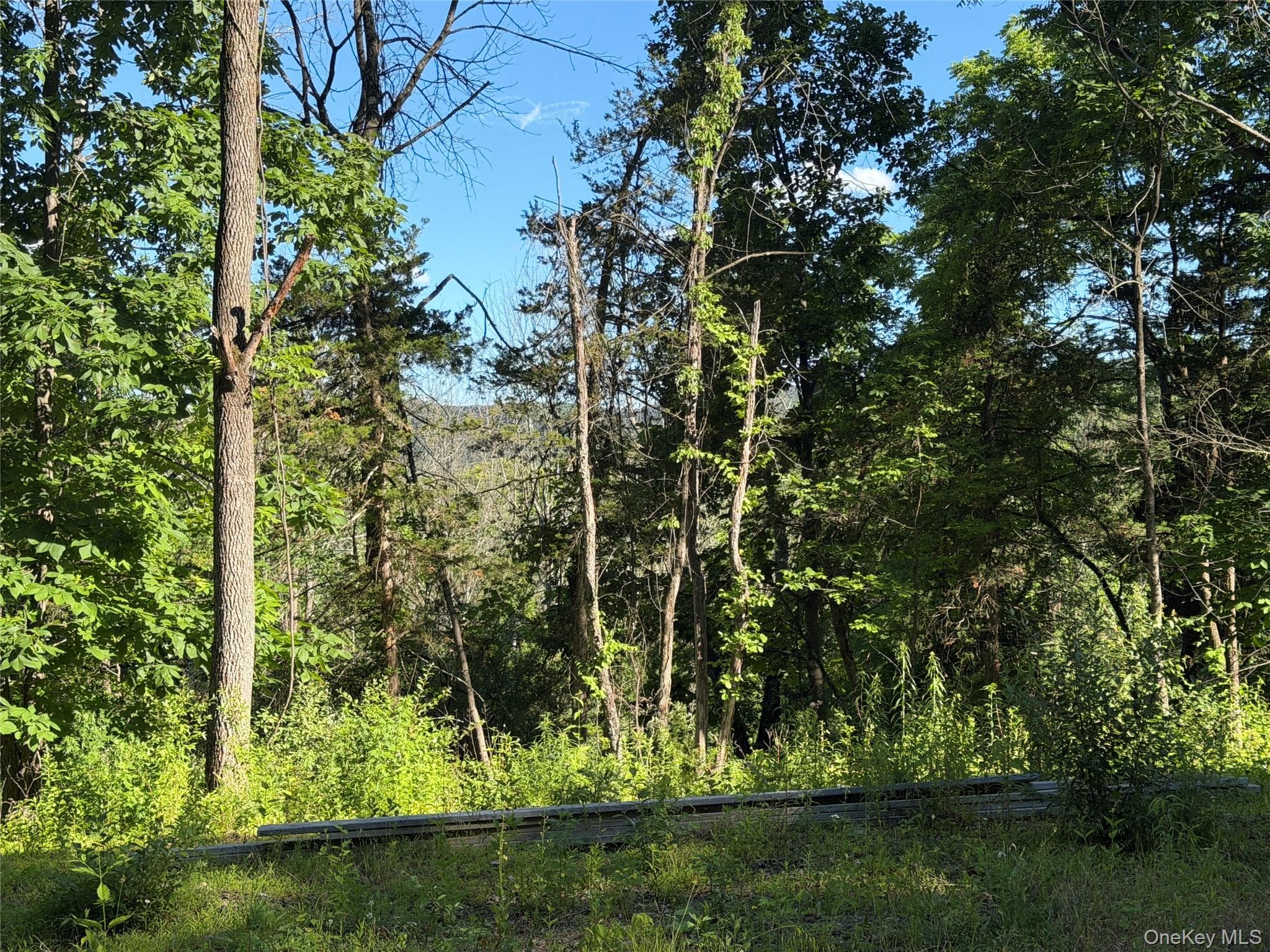 5 Walnut Hill Road thumbnail 11