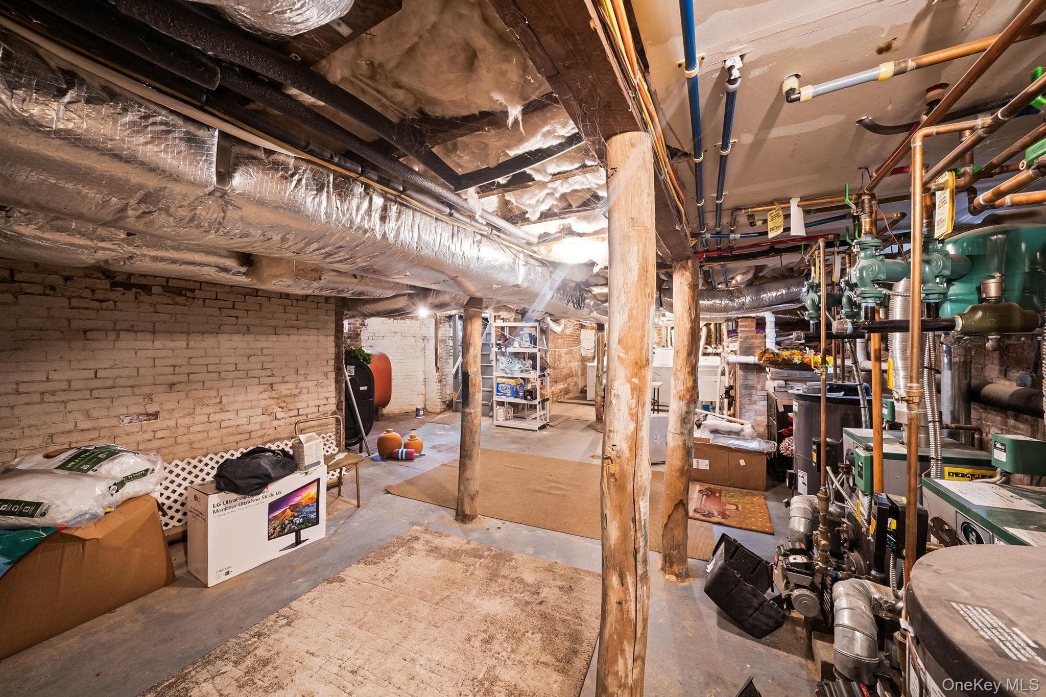 407 Wiggins Street thumbnail 48