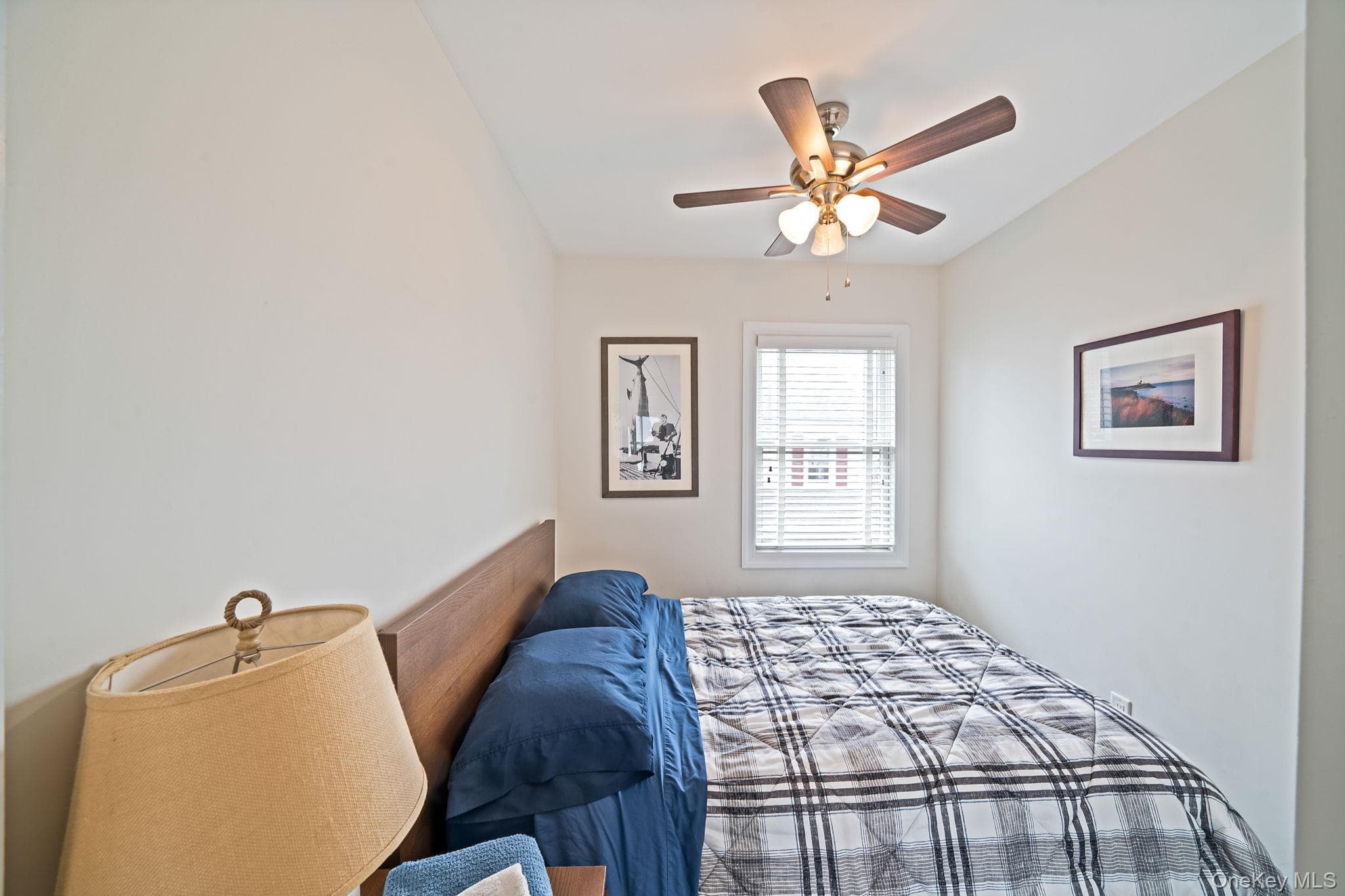 407 Wiggins Street thumbnail 25