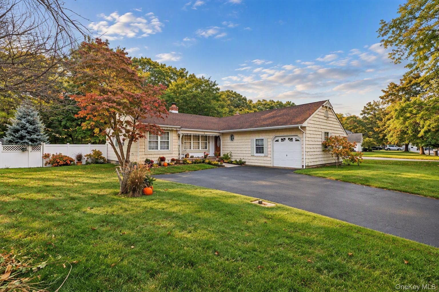11 Carston Street, Selden