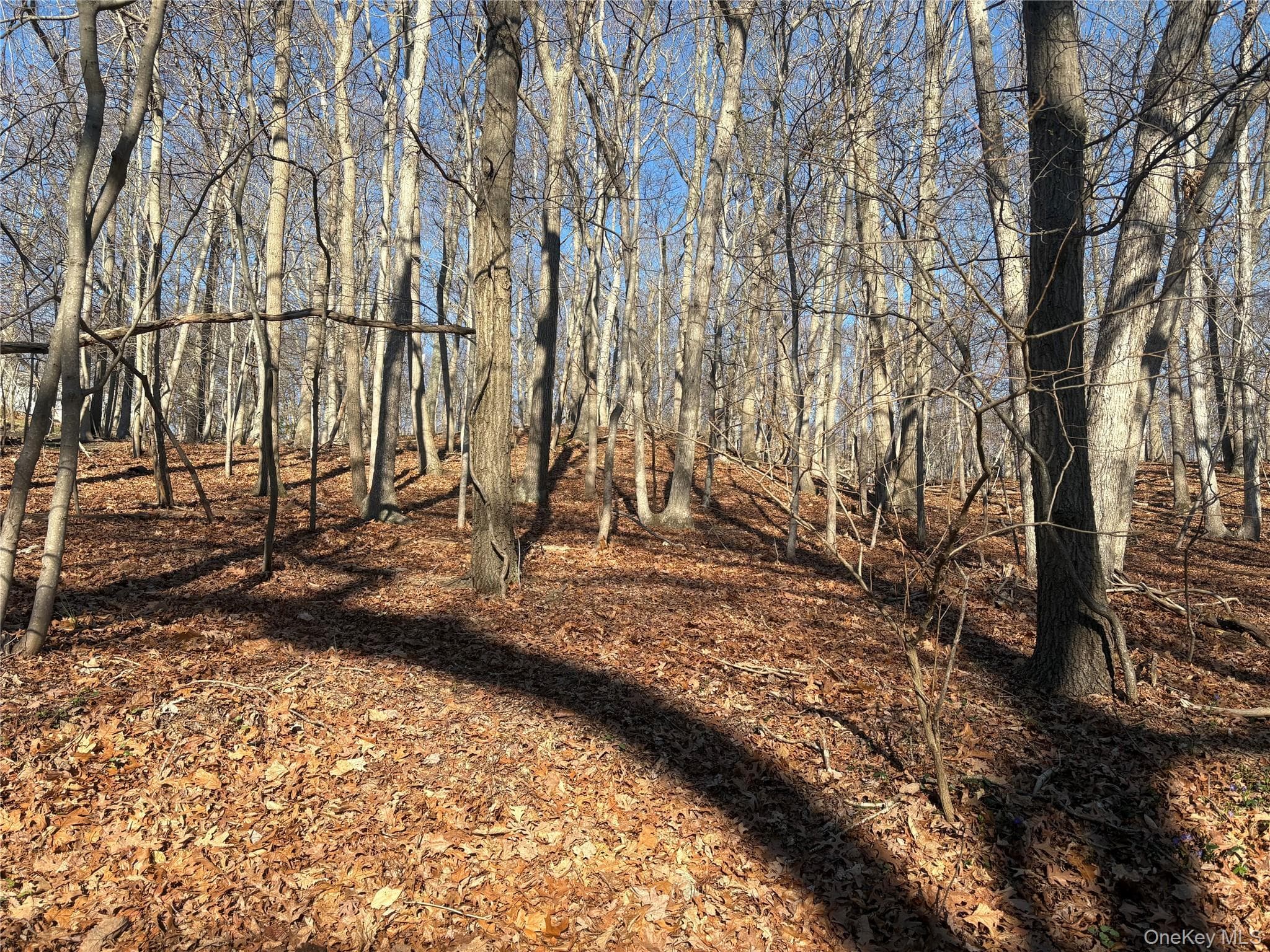 Woodhull Landing, Miller Place