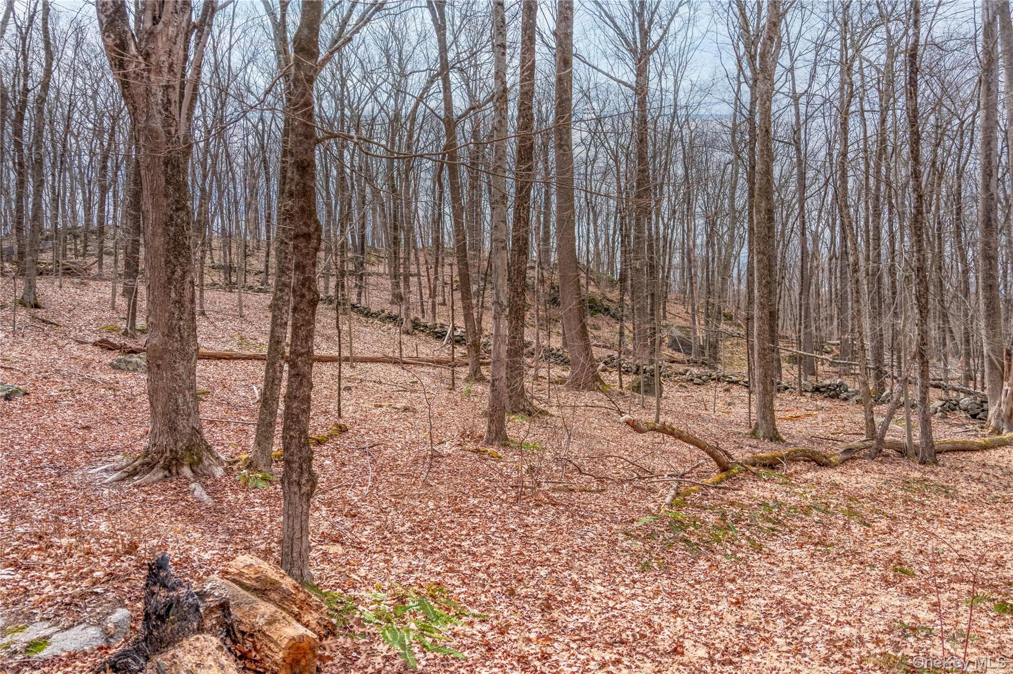 32 Joshua Hobby Lane, Pound Ridge