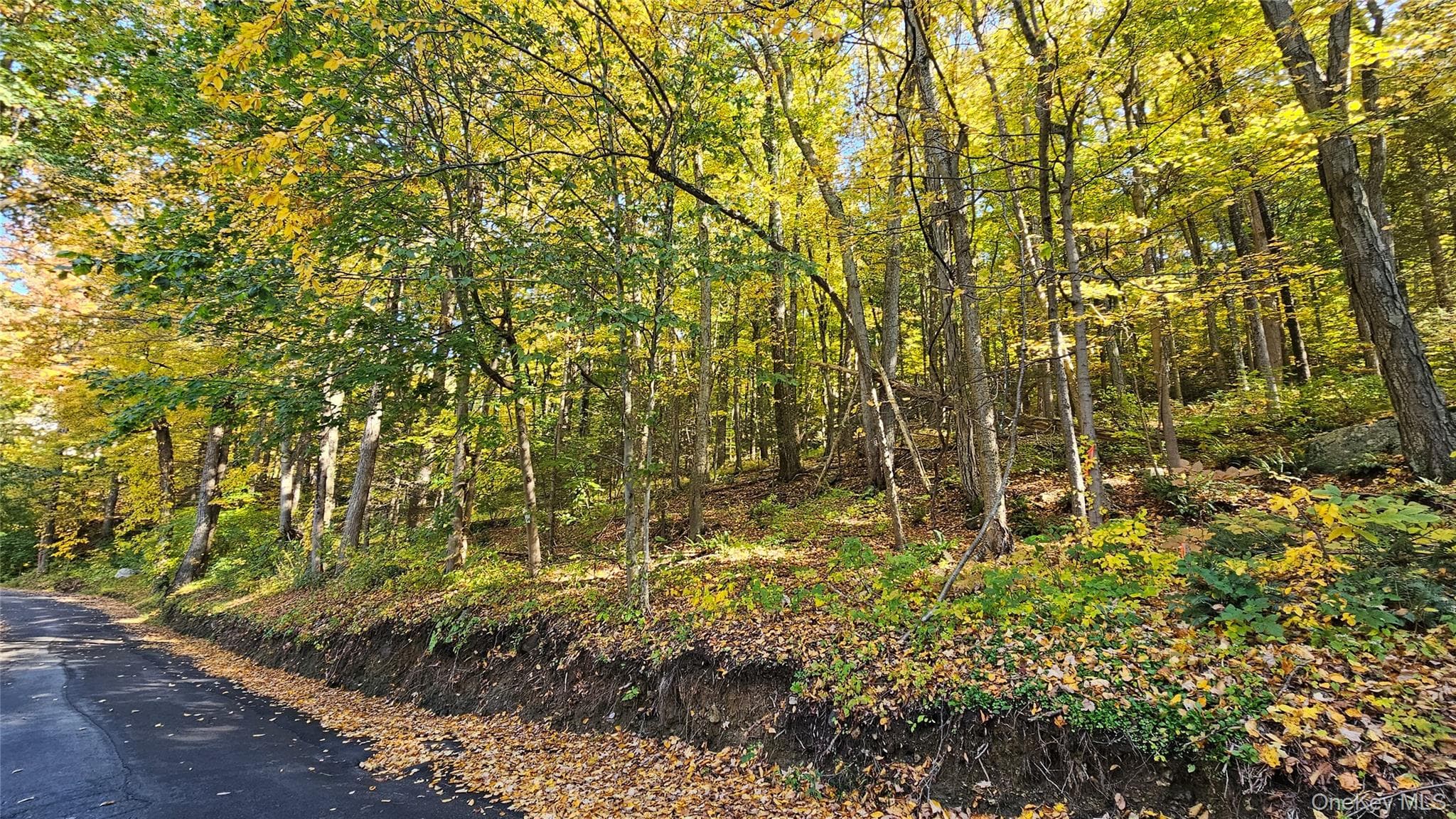 Saw Mill, Putnam Valley