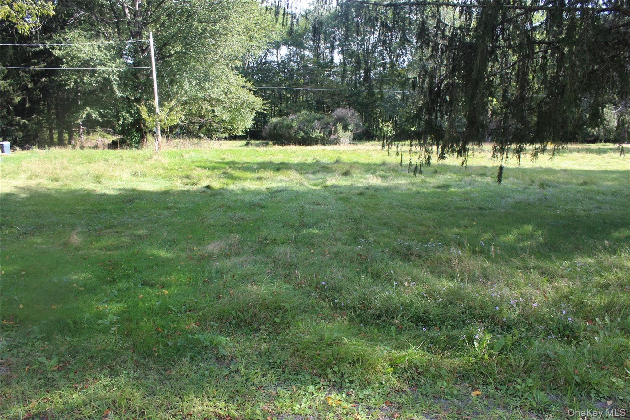 51 Wegman Road, Livingston Manor