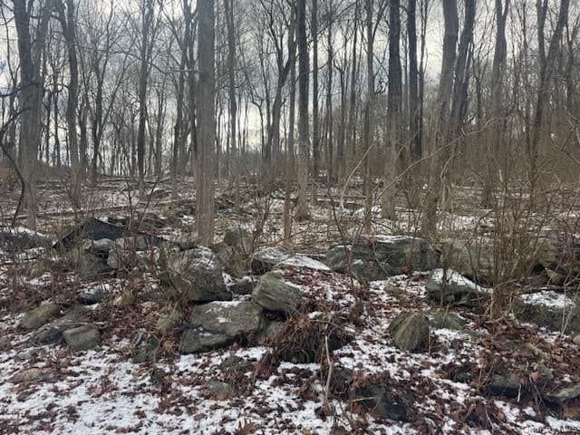 Lot 3 Eder Road, Stormville