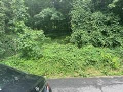 41 Chatham Terrace, Yonkers