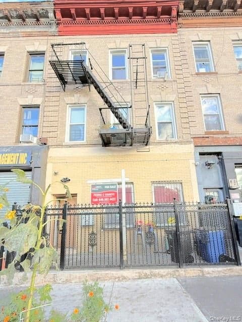 49 Buffalo Avenue, Brooklyn
